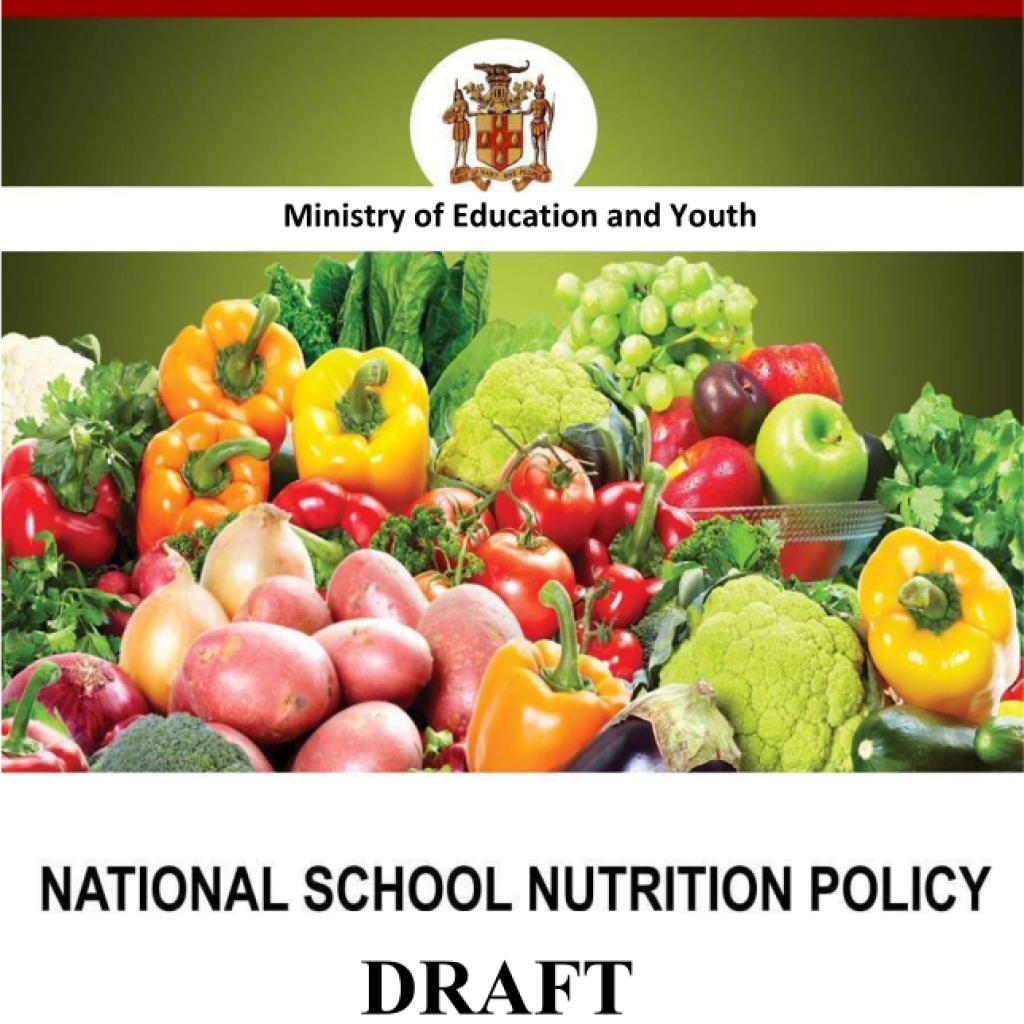national school nutrition policy5